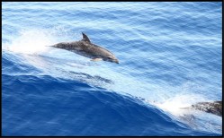 6725225-welcome_to_st_helena_saint_helena